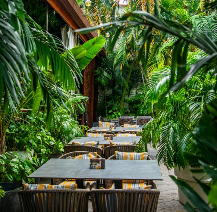 Terrasse tropicale aux coussins rayés